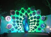 How to Make Peacock for Stage Decoration A Step-by-Step Guide