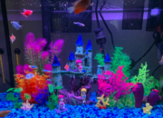 How to Make Glofish Decoration A Step-by-Step Guide