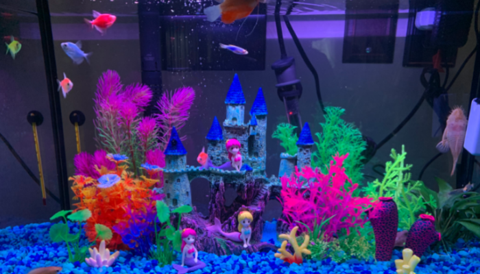 How to Make Glofish Decoration A Step-by-Step Guide