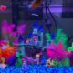 How to make glofish decoration