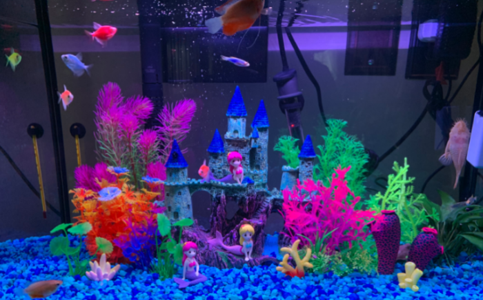 How to make glofish decoration