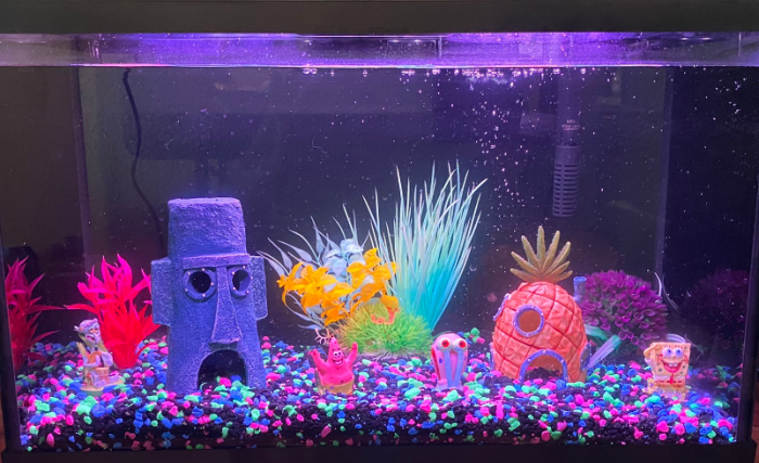 How to make glofish decoration